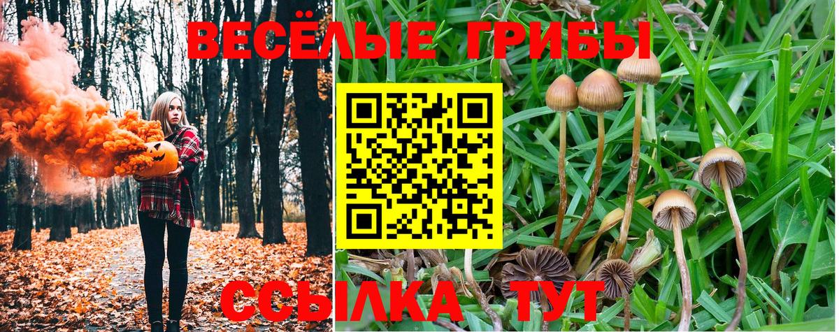 Псилоцибиновые грибы Magic Shrooms  Вход с VPN  Галлюциногенные грибы Psilocybine cubensis  Нижний Тагил 