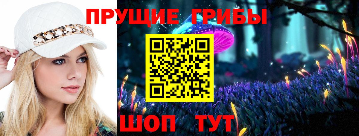 Галлюциногенные грибы Psilocybe Нижний Тагил